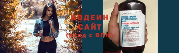 прущий лед Нея