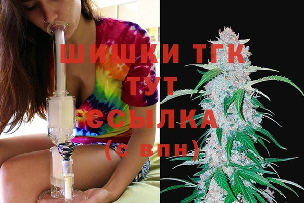 молекула духа Кинешма