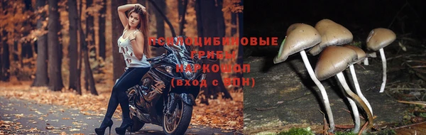 прущий лед Нея