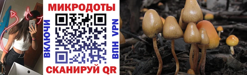 Псилоцибиновые грибы прущие грибы  MEGA сайт  Красновишерск 